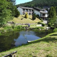 Vijver